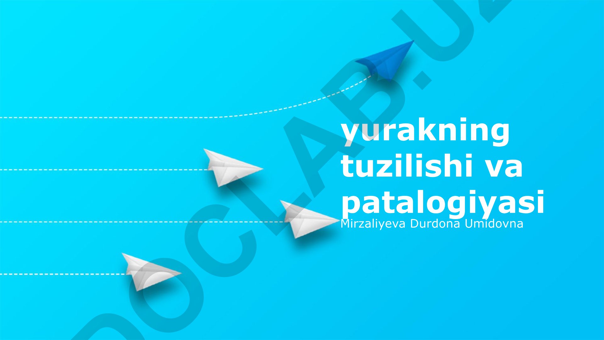 Yurakning tuzilishi va patalogiyasi
