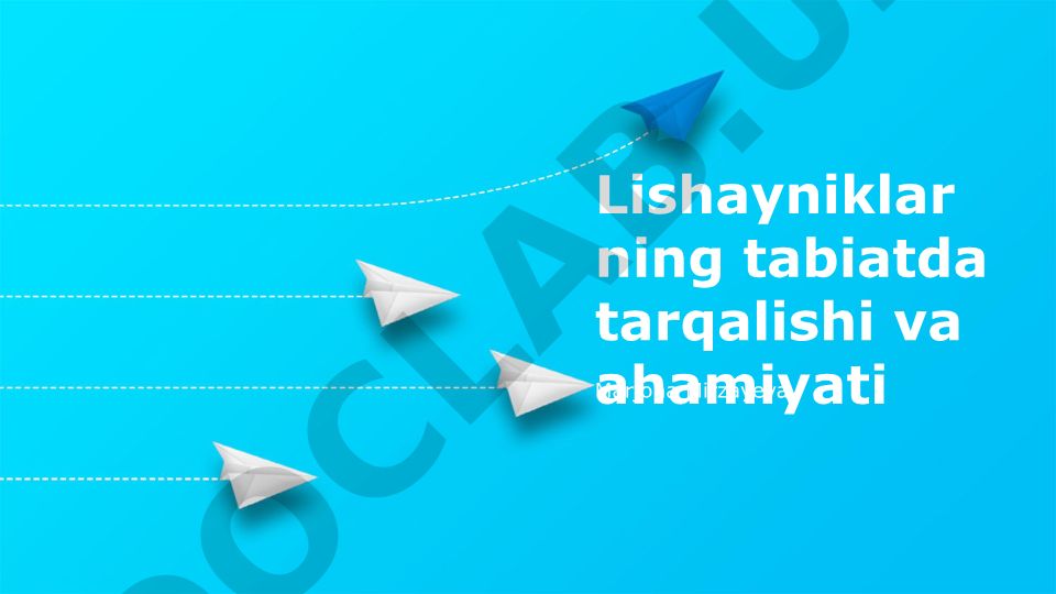 Lishayniklarning tabiatda tarqalishi va ahamiyati