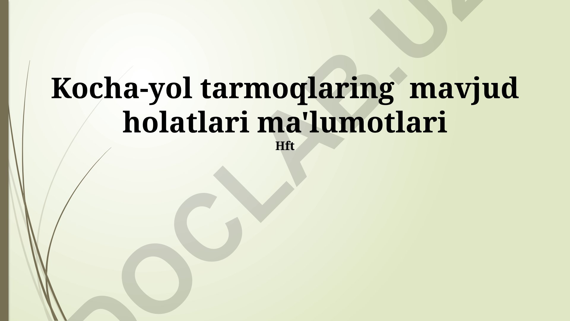 Kocha-yol tarmoqlari mavjud holati va muammolari