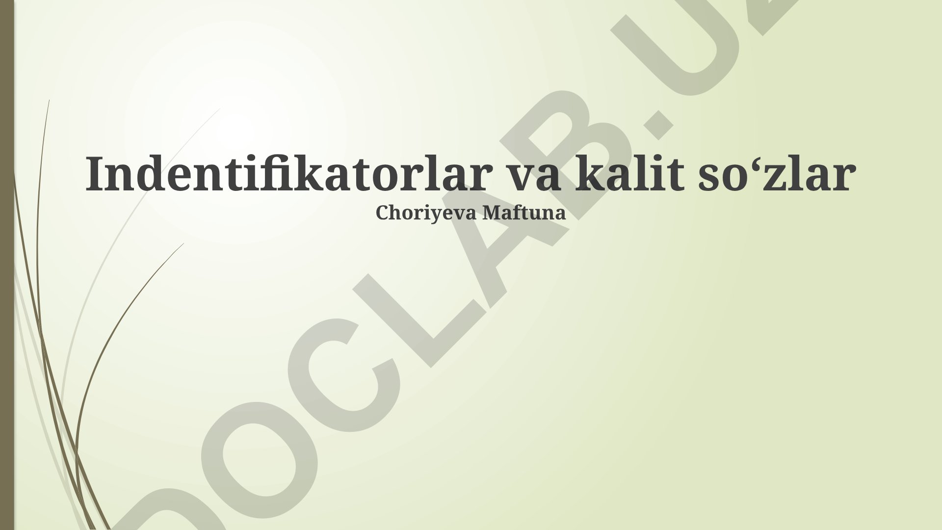 Identifikatorlar va kalit so'zlar