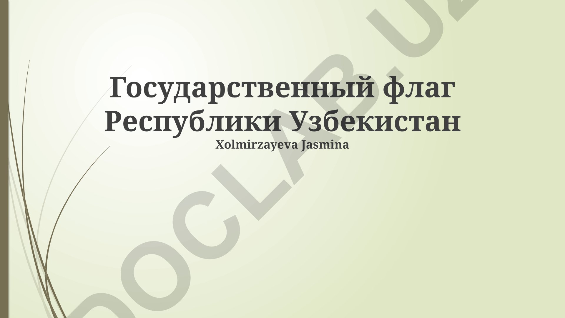 Государственный флаг Республики Узбекистан: символика, история и значение