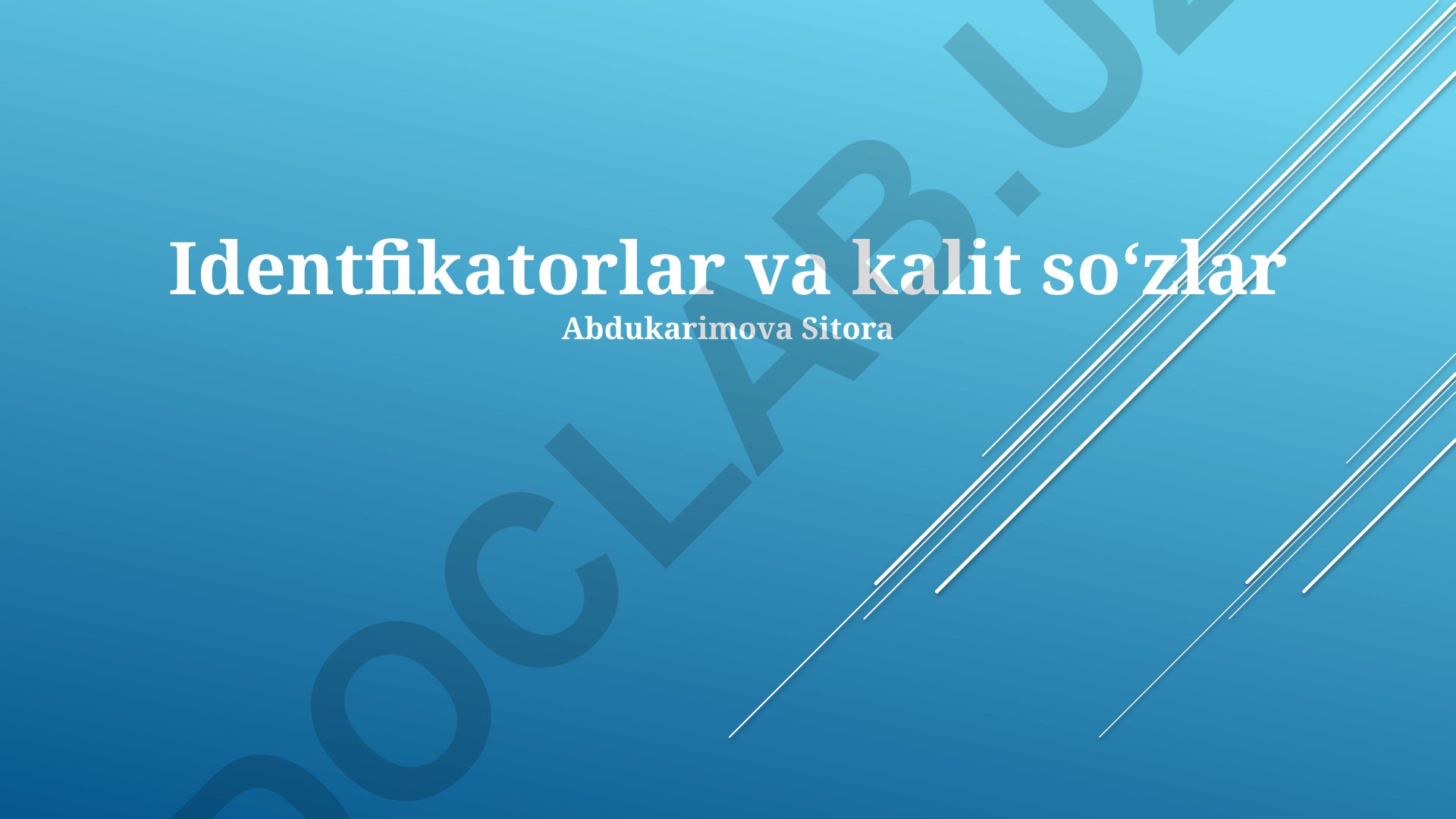 Identifikatorlar va kalit so'zlar