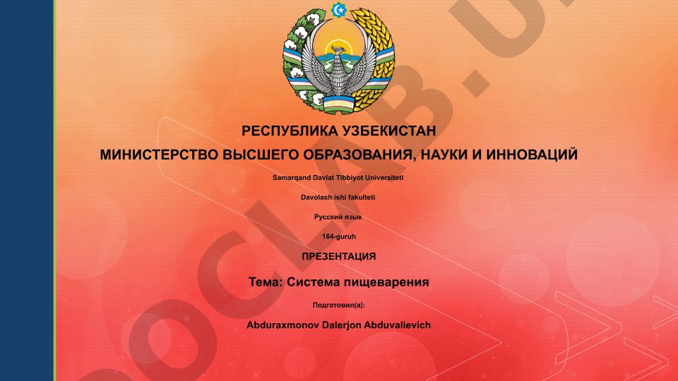 Система пищеварения
