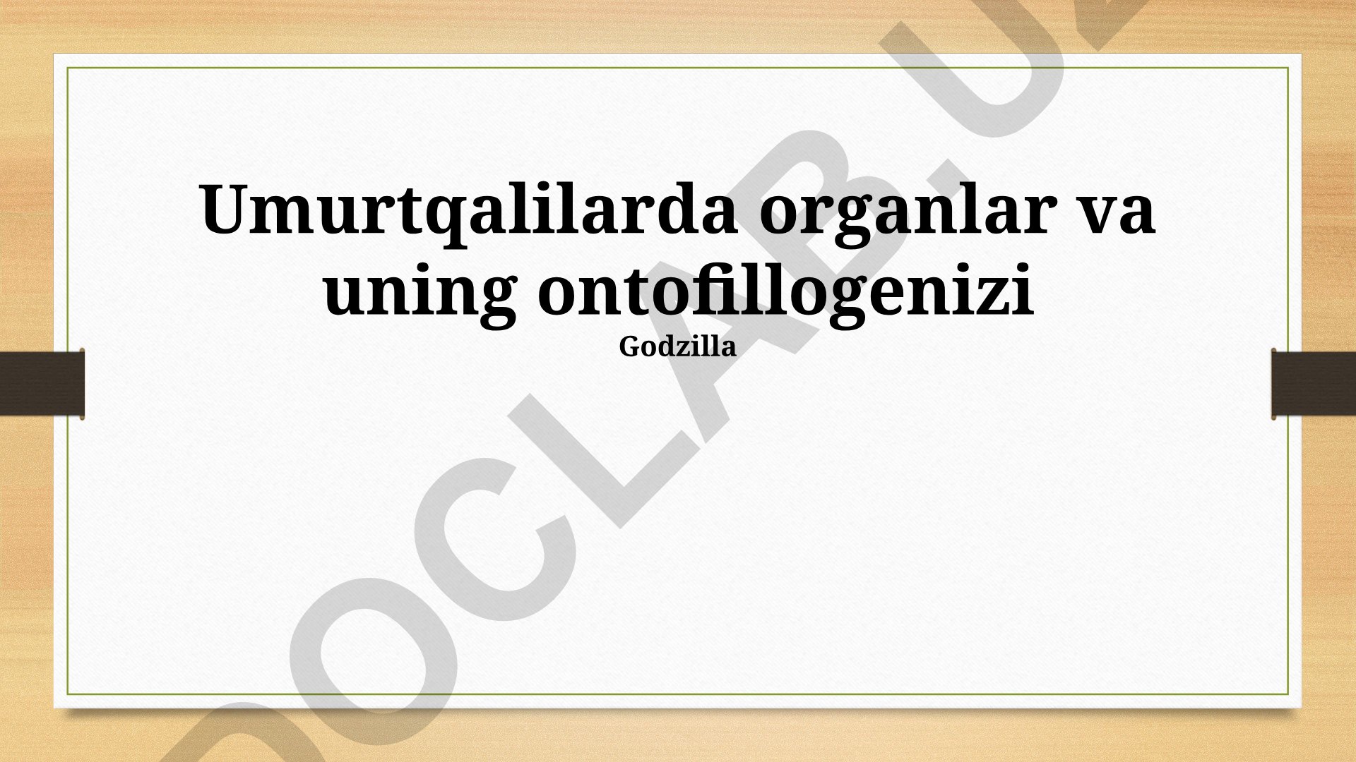 Umurtqalilarda organlar ontogenezi va ontofillogenezi