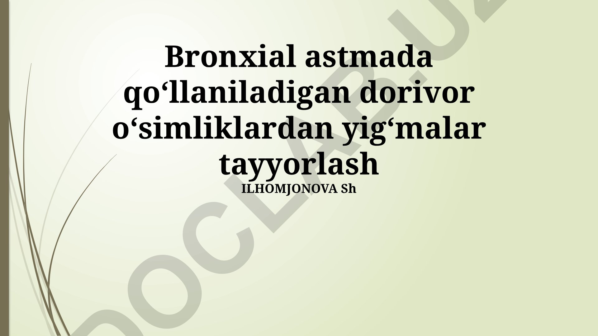 Bronxial astmada qoʻllaniladigan dorivor oʻsimliklardan yigʻmalar tayyorlash