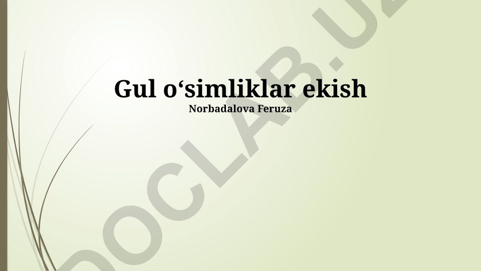 Gul o'simliklarini ekish va parvarish qilish