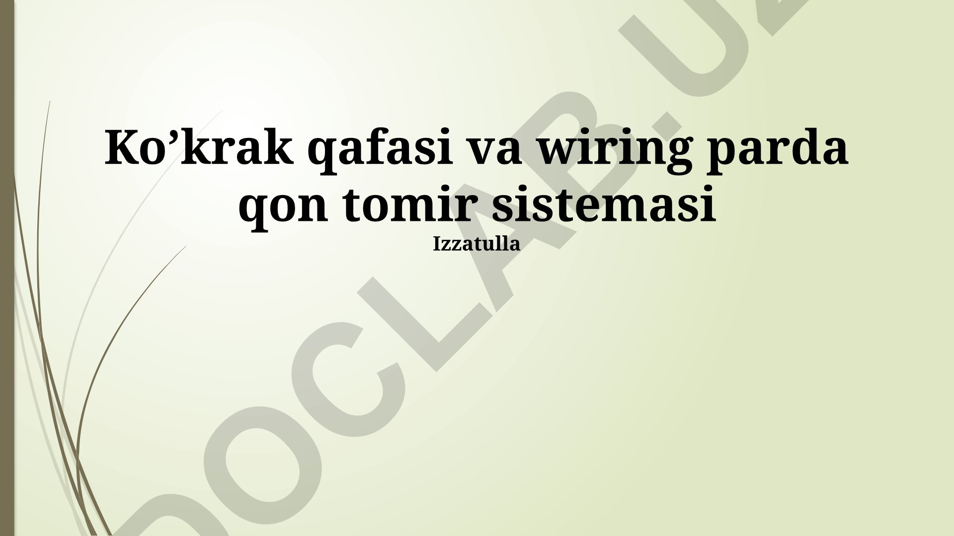 Ko'krak qafasi va wiring parda qon tomir sistemasi