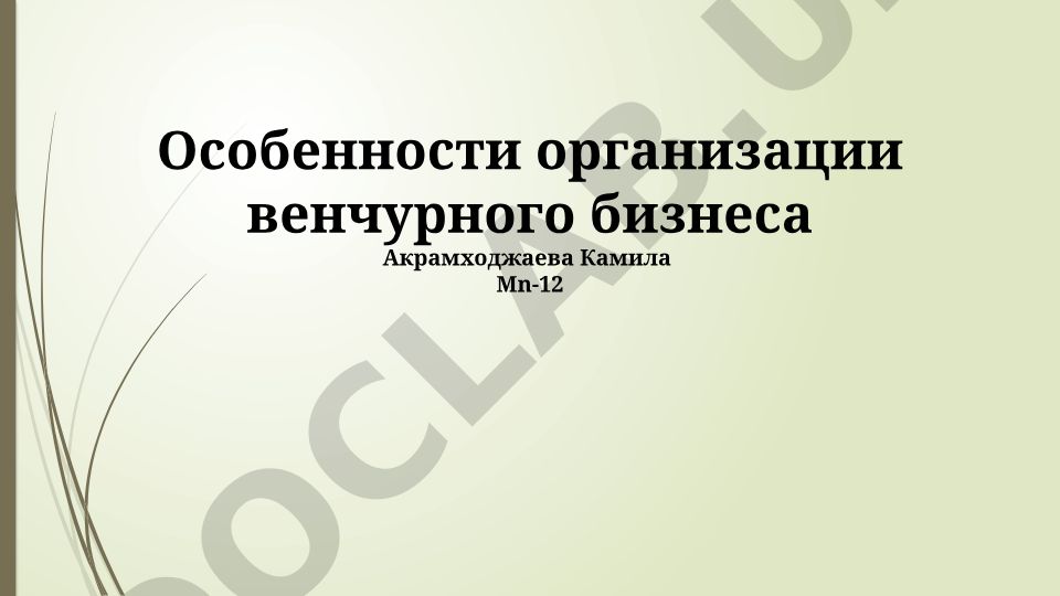 Особенности организации венчурного бизнеса