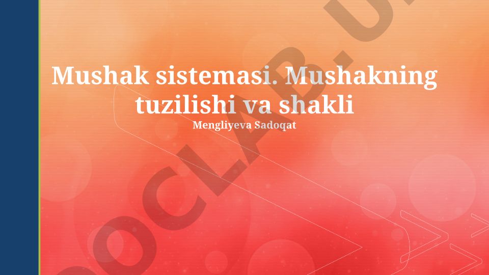 Mushak sistemasi: tuzilishi, shakli va turlari