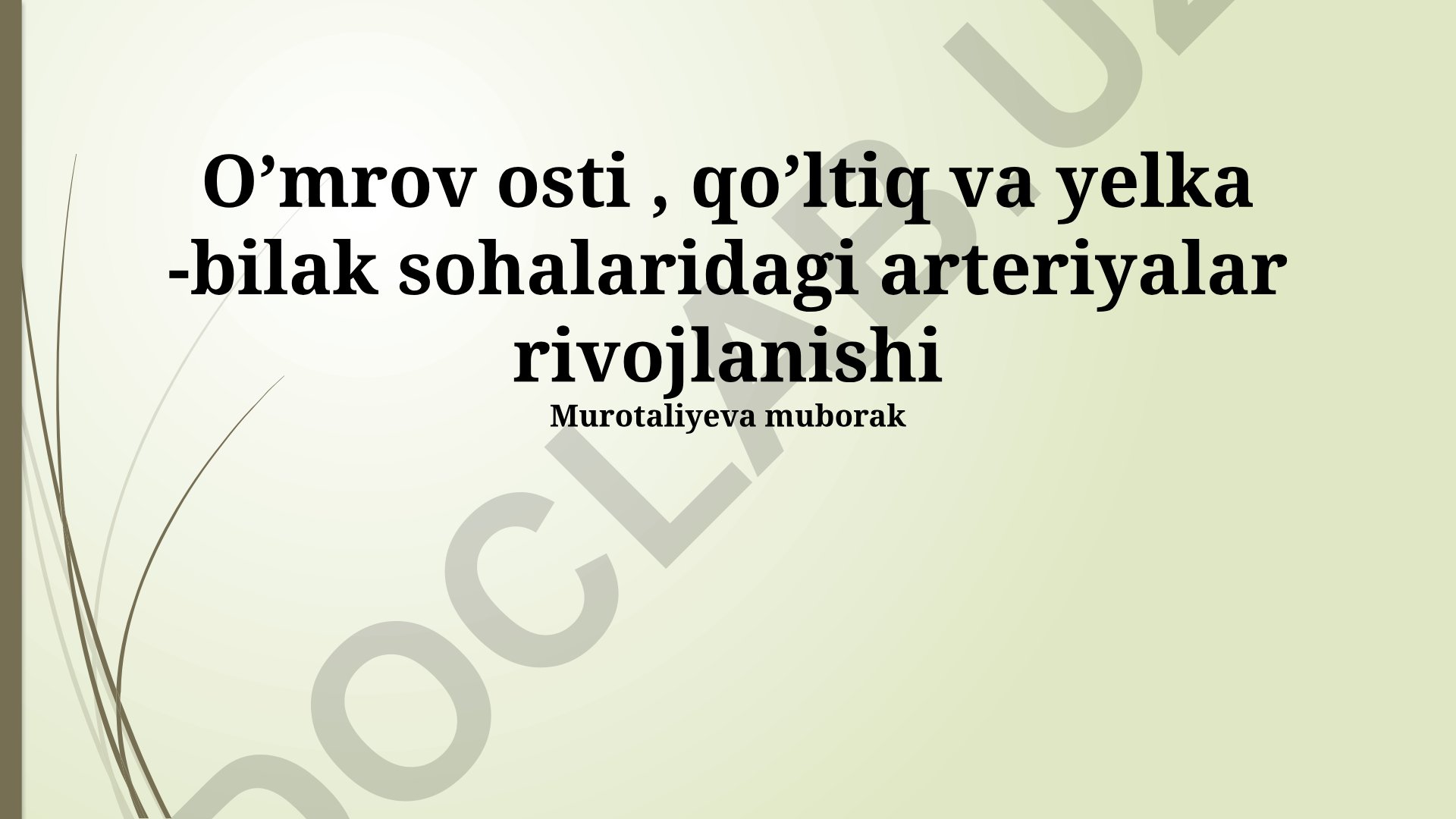 O'mrov osti, qo'ltiq va yelka-bilak sohalaridagi arteriyalar rivojlanishi
