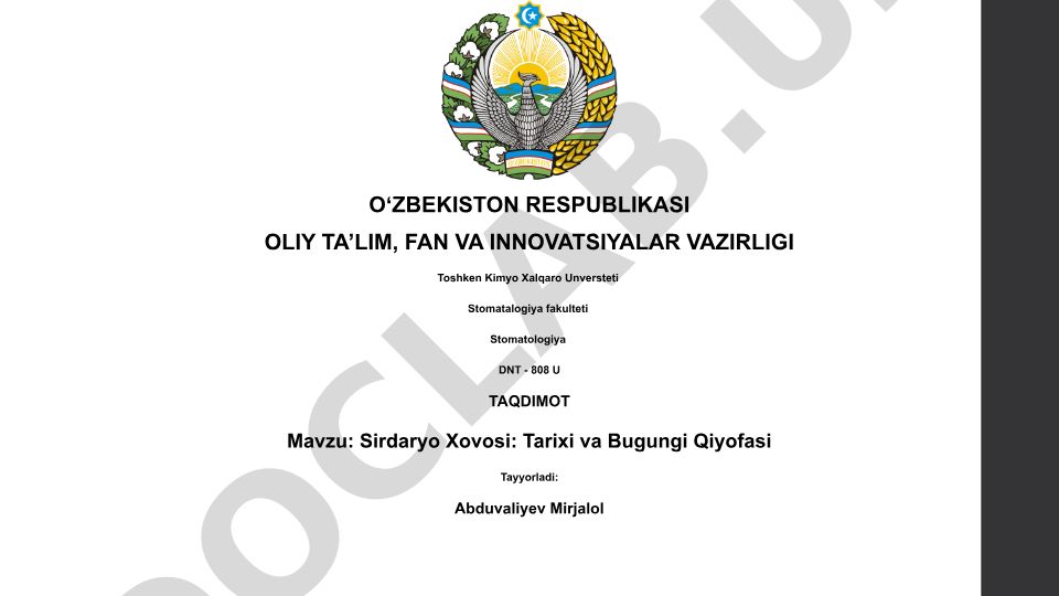 Sirdaryo Xovosi: Tarixi va Bugungi Qiyofasi