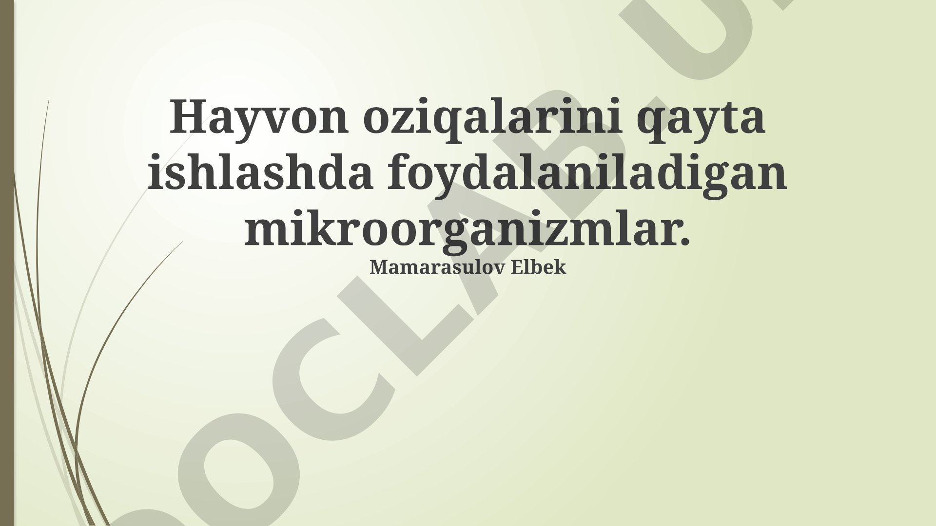 Hayvon oziqalarini qayta ishlashda foydalaniladigan mikroorganizmlar