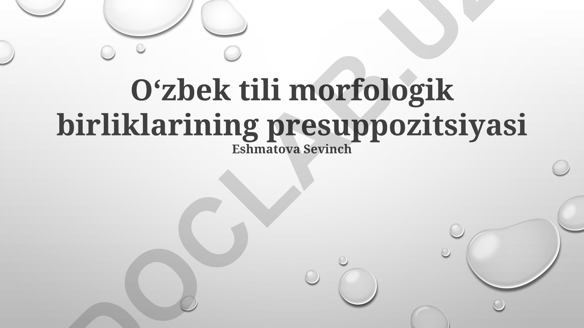 Oʻzbek tili morfologik birliklarining presuppozitsiyasi