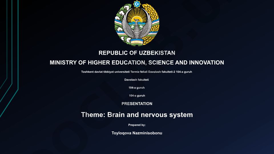 Brain and nervous system