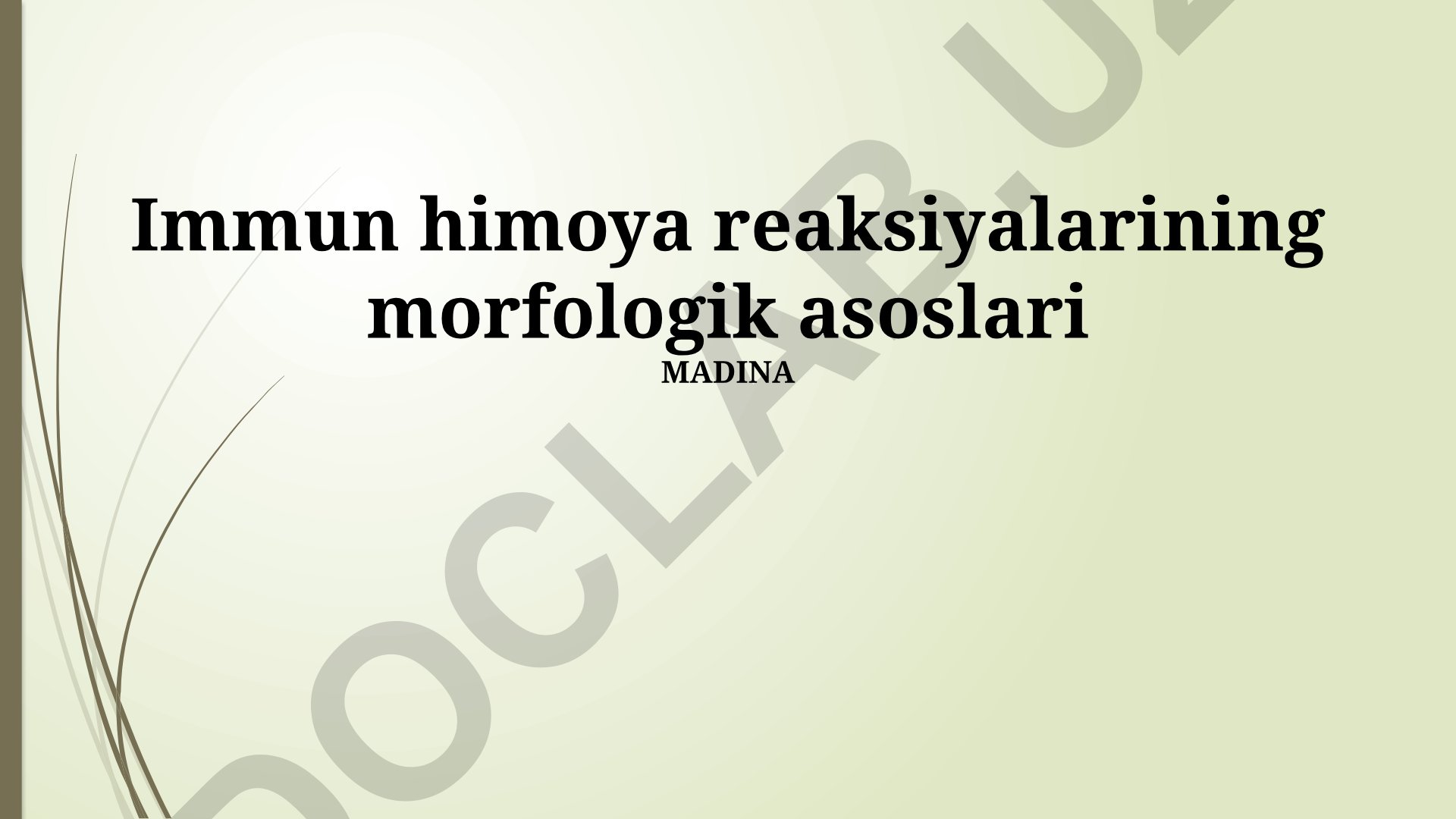 Immun himoya reaksiyalarining morfologik asoslari