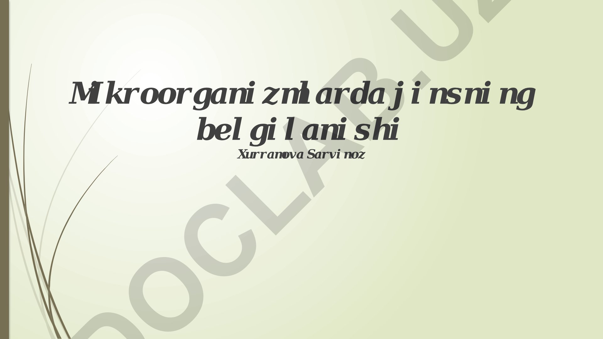 Mikroorganizmlarda jinsning belgilanishi