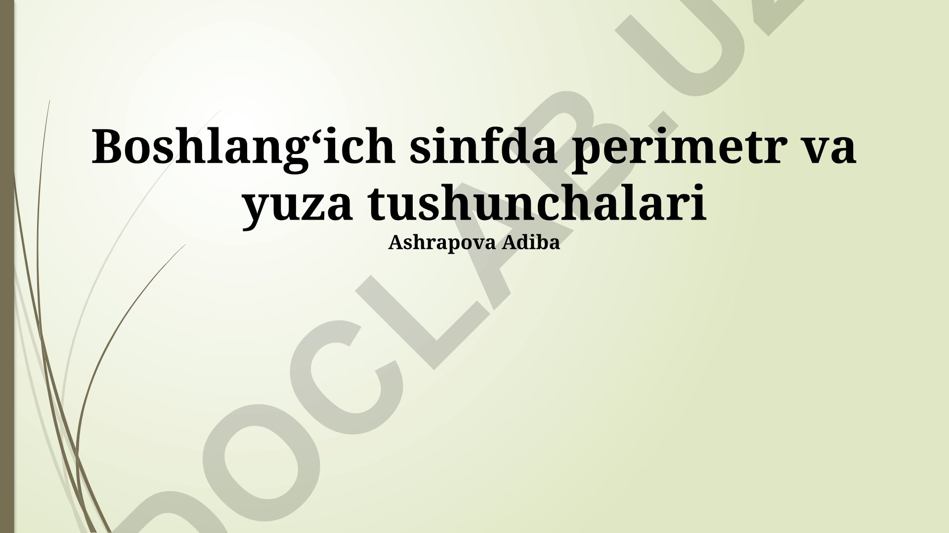 Boshlangʻich sinfda perimetr va yuza tushunchalari