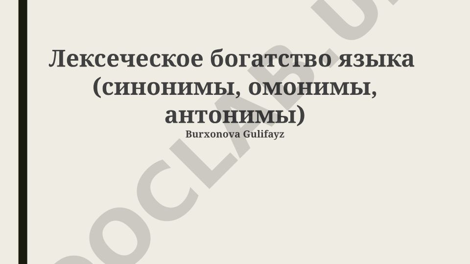 Лексическое богатство языка: синонимы, омонимы, антонимы