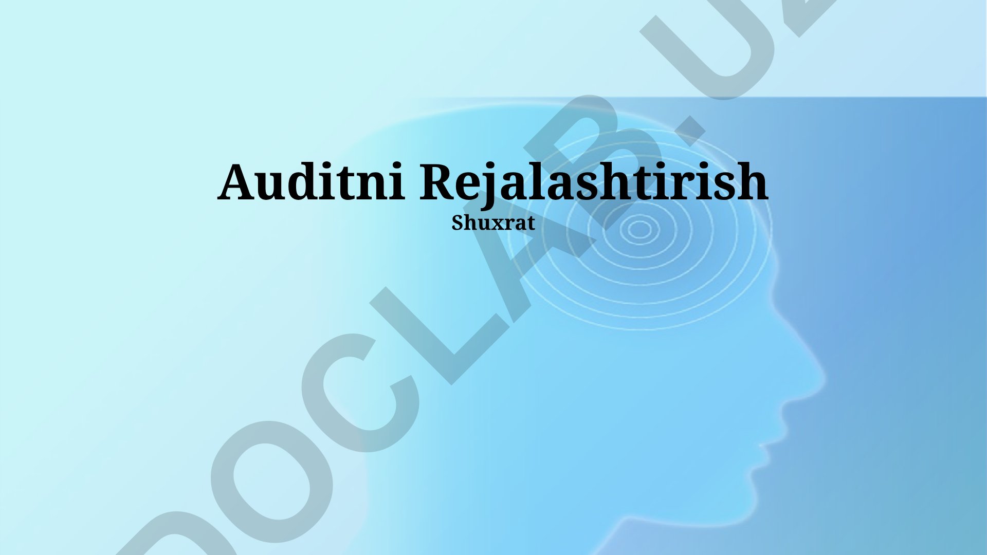 Auditni rejalashtirish: bosqichlar, xatarlarni baholash va audit dasturi