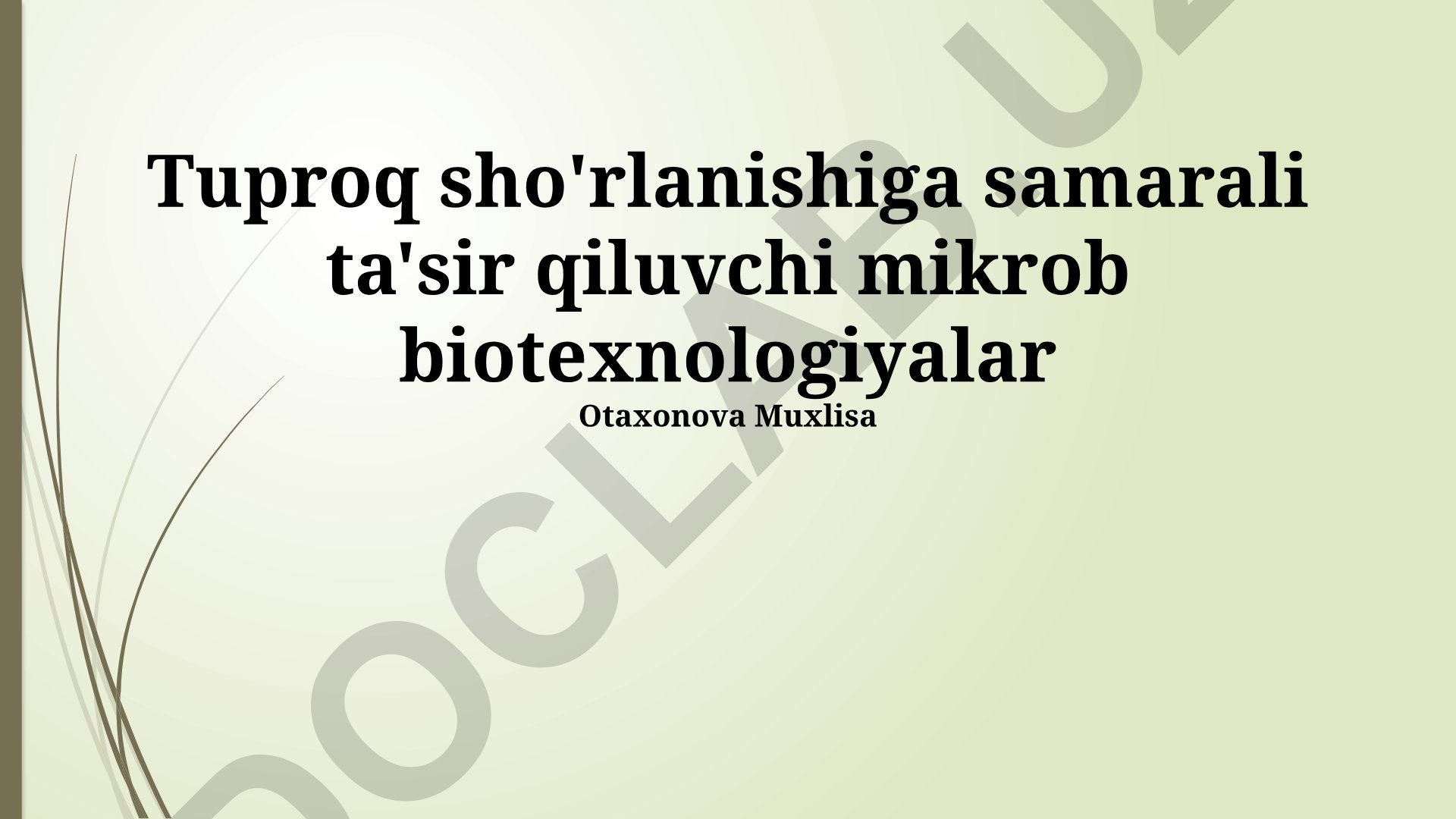 Tuproq sho'rlanishiga samarali ta'sir qiluvchi mikrob biotexnologiyalar