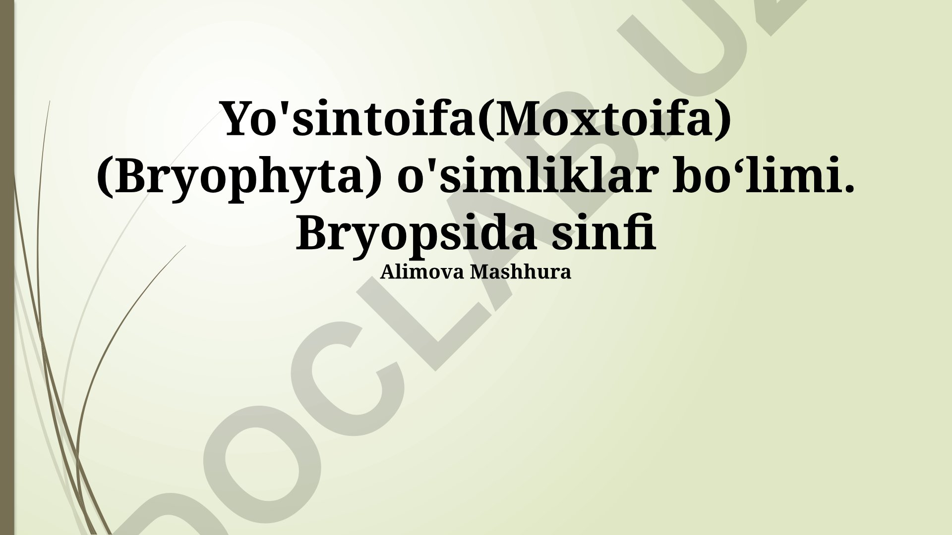 Bryopsida sinfi va uning xususiyatlari