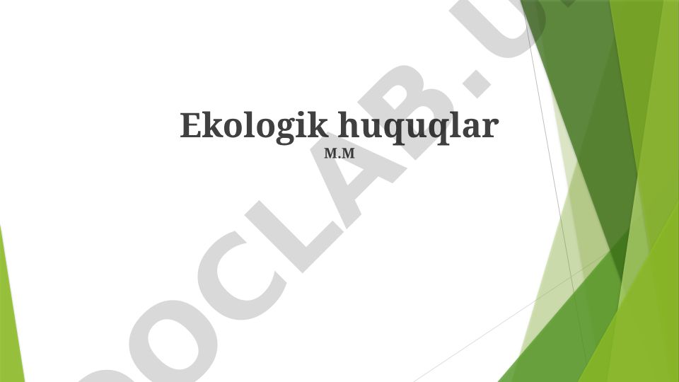 Ekologik huquqlar va atrof-muhit huquqlarining huquqiy asoslari
