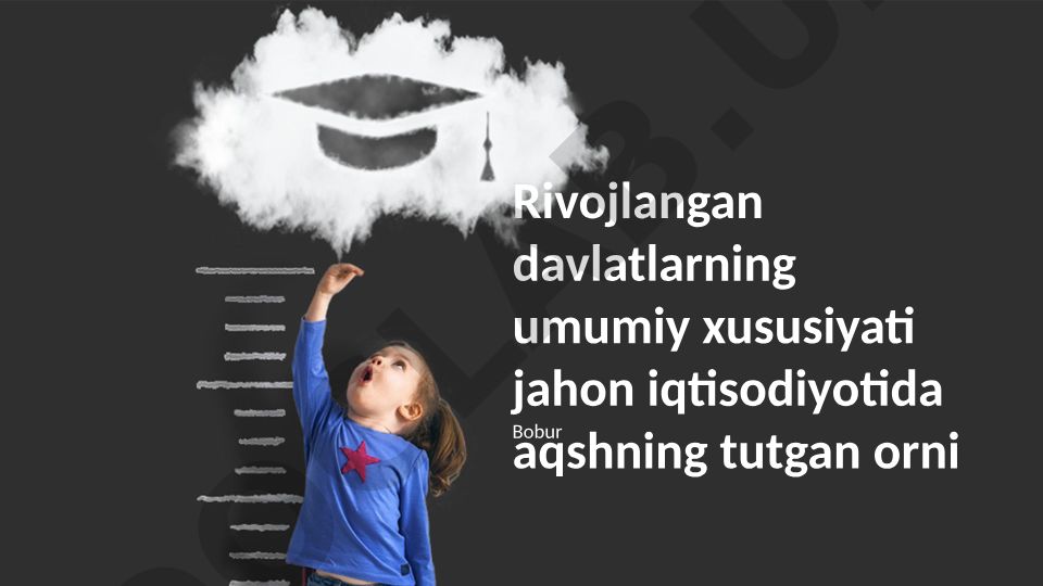 Rivojlangan davlatlarning umumiy xususiyati va AQShning jahon iqtisodiyotidagi roli