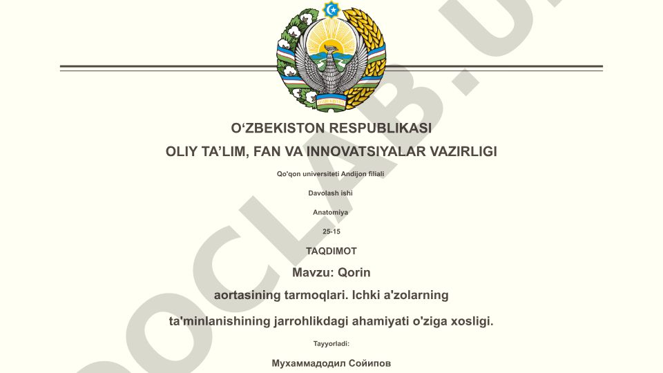 Qorin aortasining tarmoqlari va ichki a'zolarning ta'minlanishining jarrohlikdagi ahamiyati