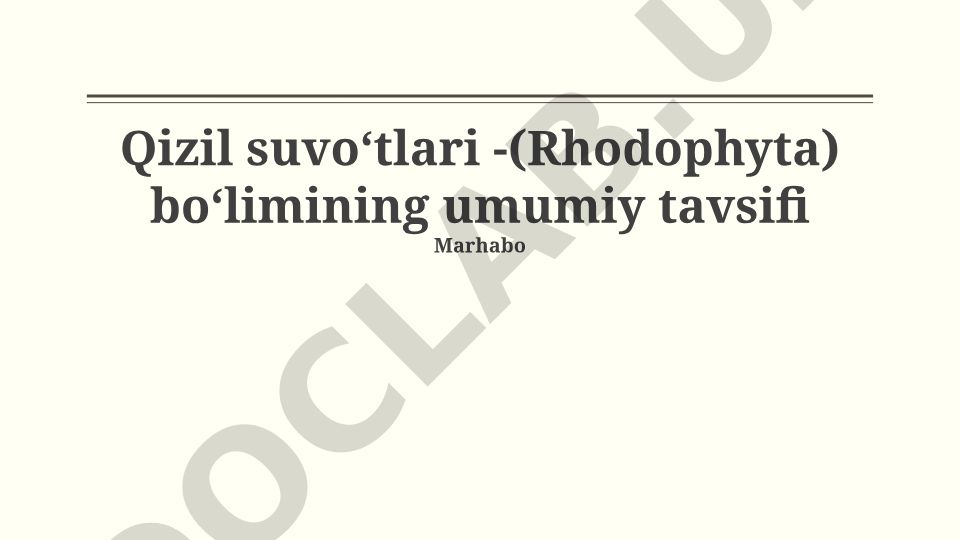 Qizil suvoʻtlari (Rhodophyta) boʻlimining umumiy tavsifi