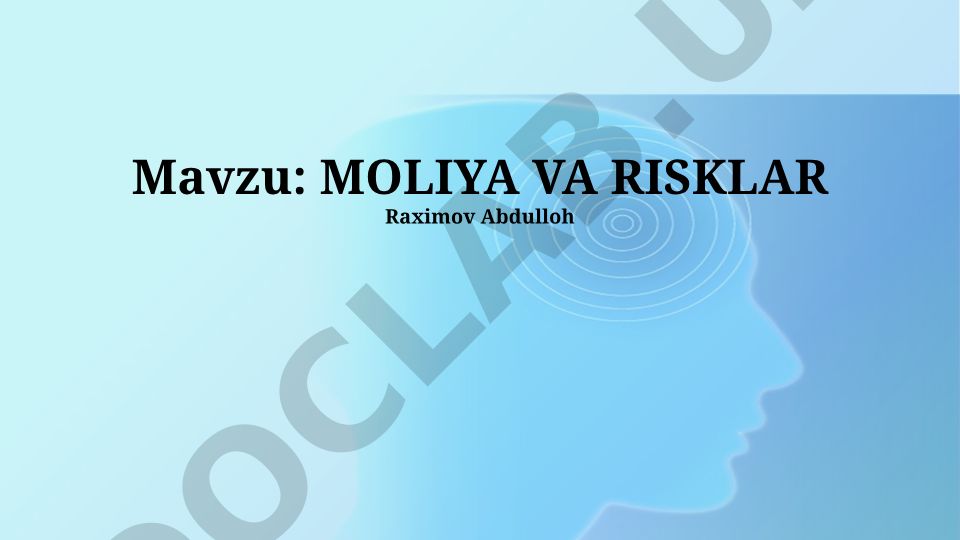 Moliya va risklar