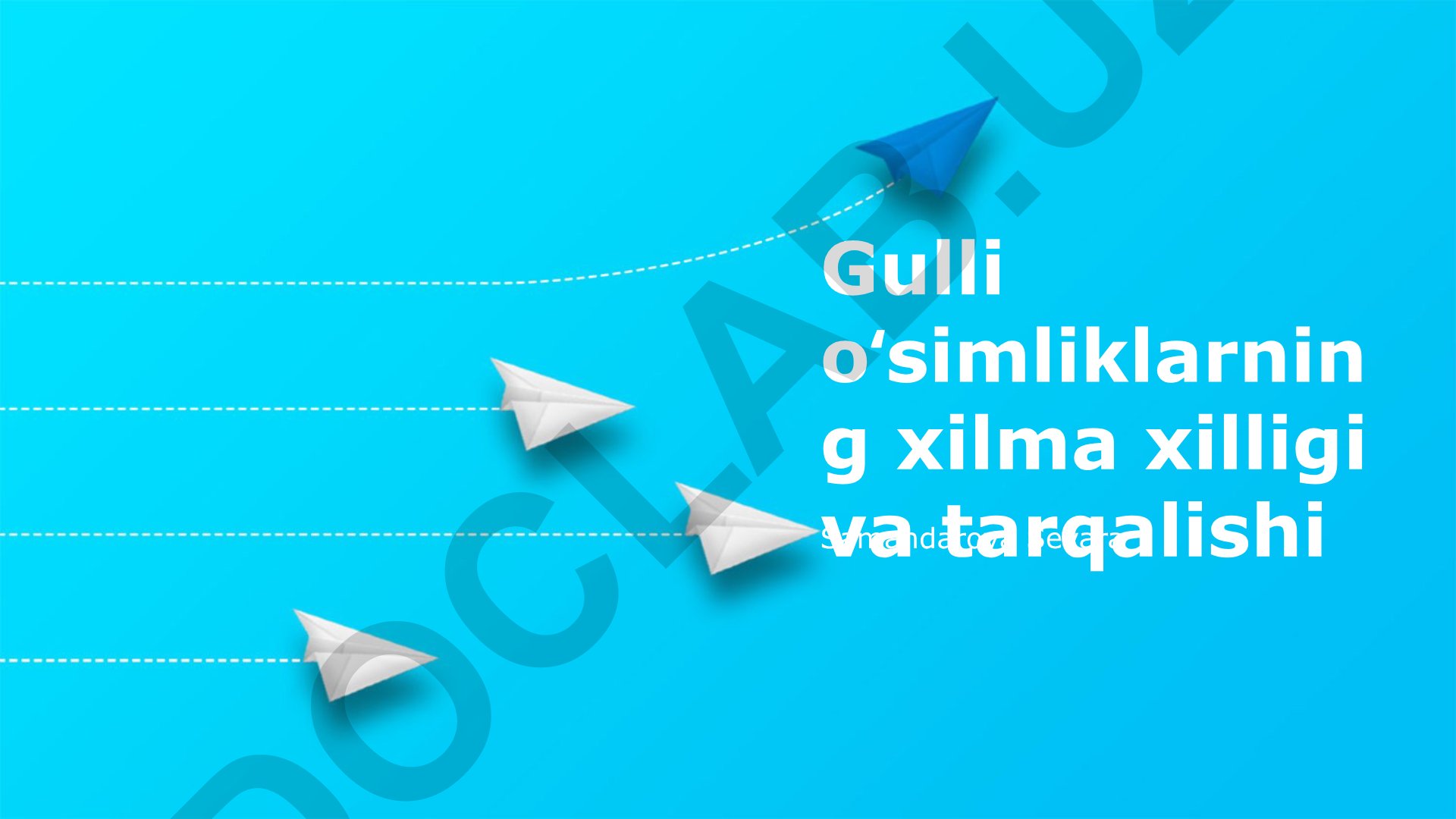 Gulli o'simliklarning xilma-xilligi va tarqalishi