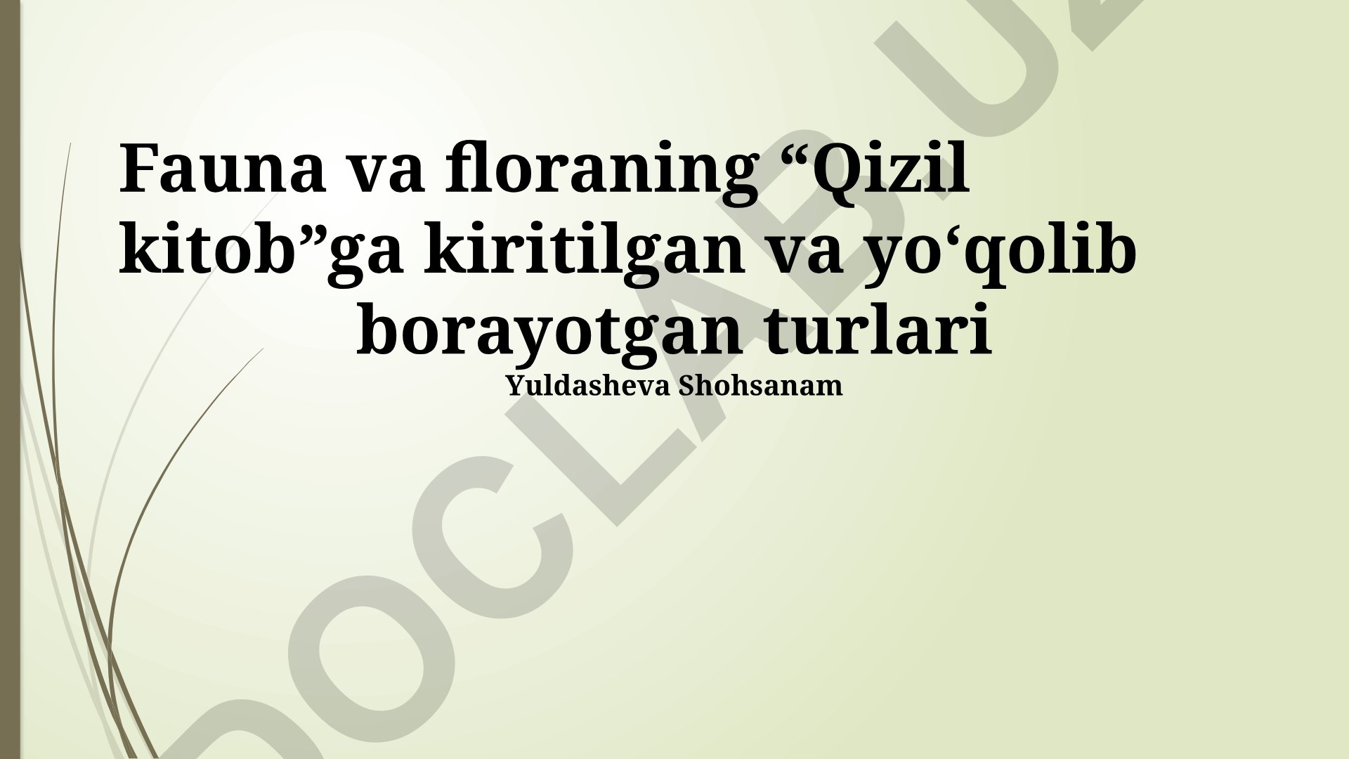 Qizil Kitobga kiritilgan yo'qolib borayotgan turlar va ularni muhofaza qilish