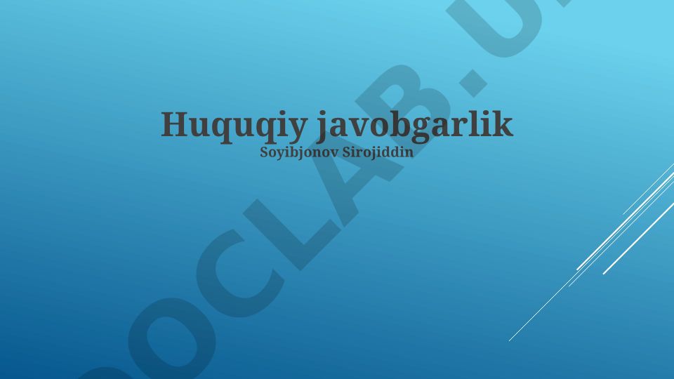 Huquqiy javobgarlik asoslari, turlari va himoya qilish