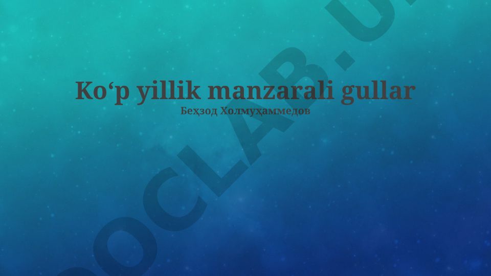 Ko‘p yillik manzarali gullar: turlari, o‘stirish va landshaft dizaynida qo‘llanilishi
