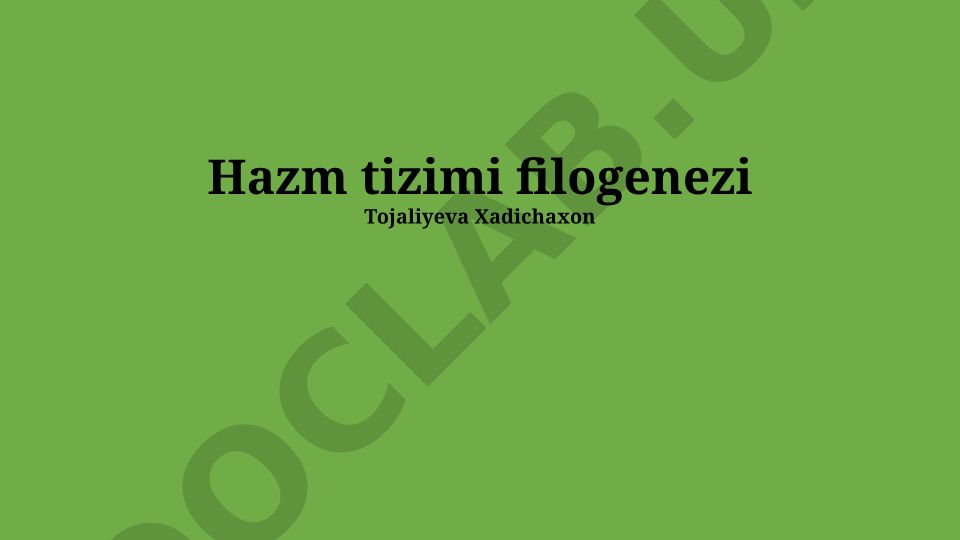 Ovqat hazm qilish sistemasining filogeniyasi va evolyutsiyasi