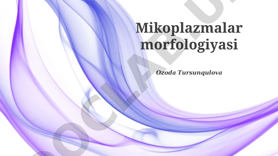 Mikoplazmalar morfologiyasi va tadqiqotlari