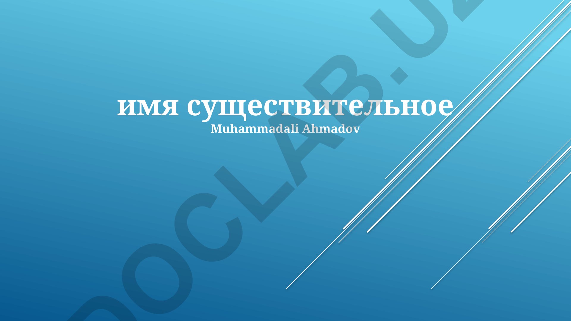 Имя существительное: определение, типы и морфологический разбор