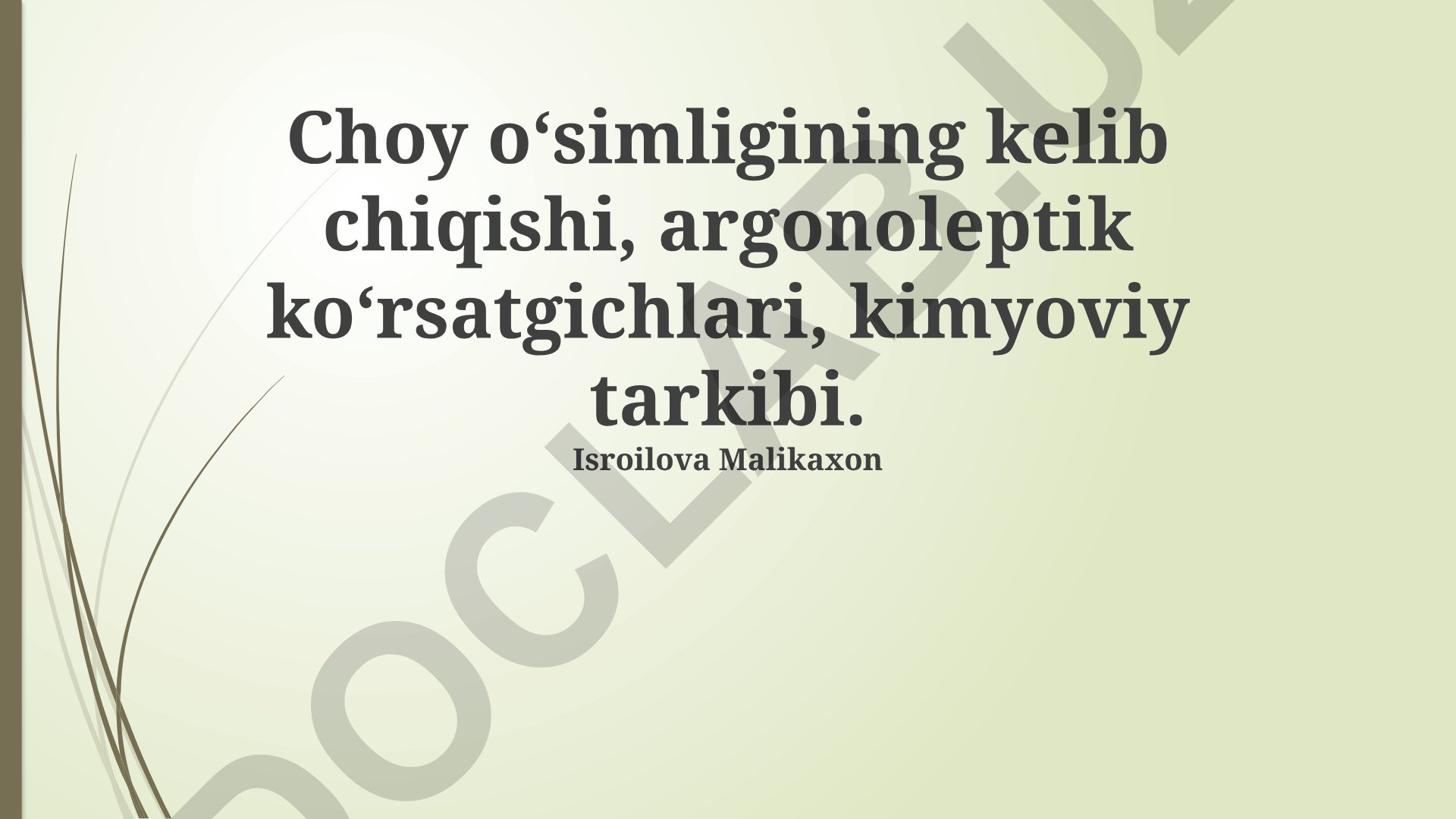 Choy o'simligining kelib chiqishi, organoleptik ko'rsatgichlari va kimyoviy tarkibi