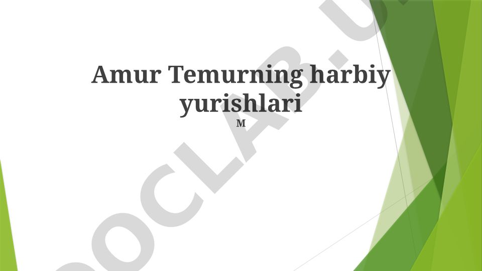 Amur Temurning harbiy yurishlari va ta'siri