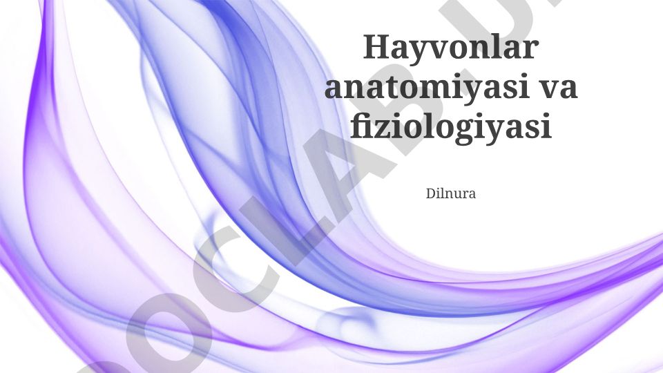 Hayvonlar anatomiyasi va fiziologiyasi asosiy tizimlari