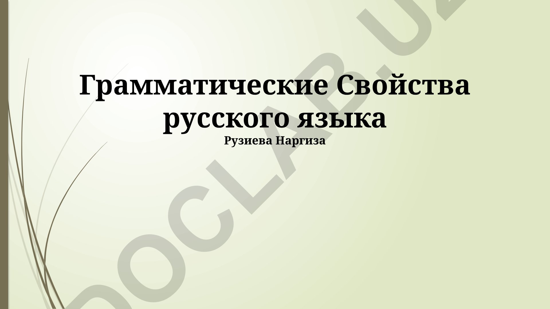 Грамматические свойства русского языка