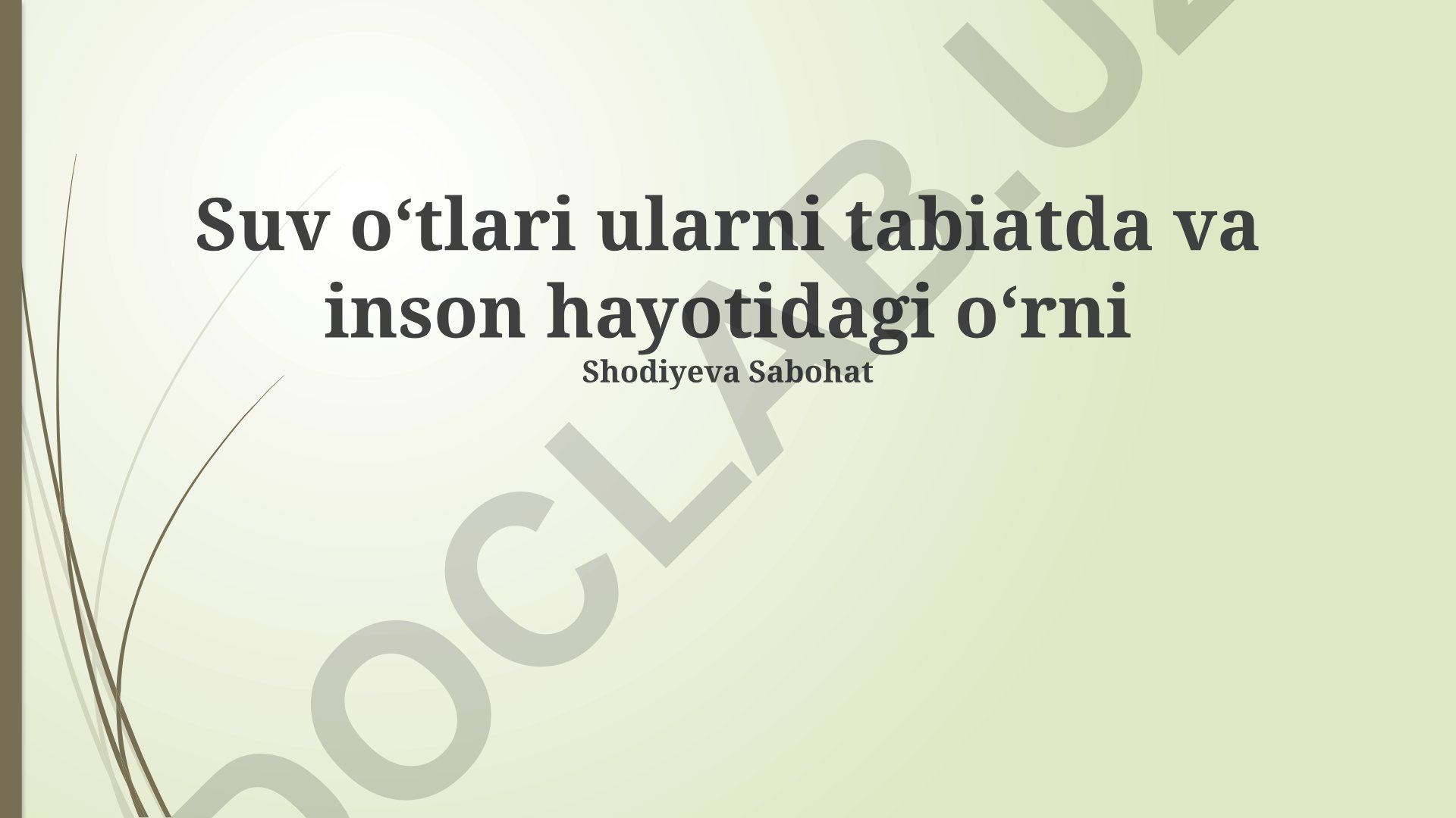 Suv oʻtlari ularni tabiatda va inson hayotidagi oʻrni