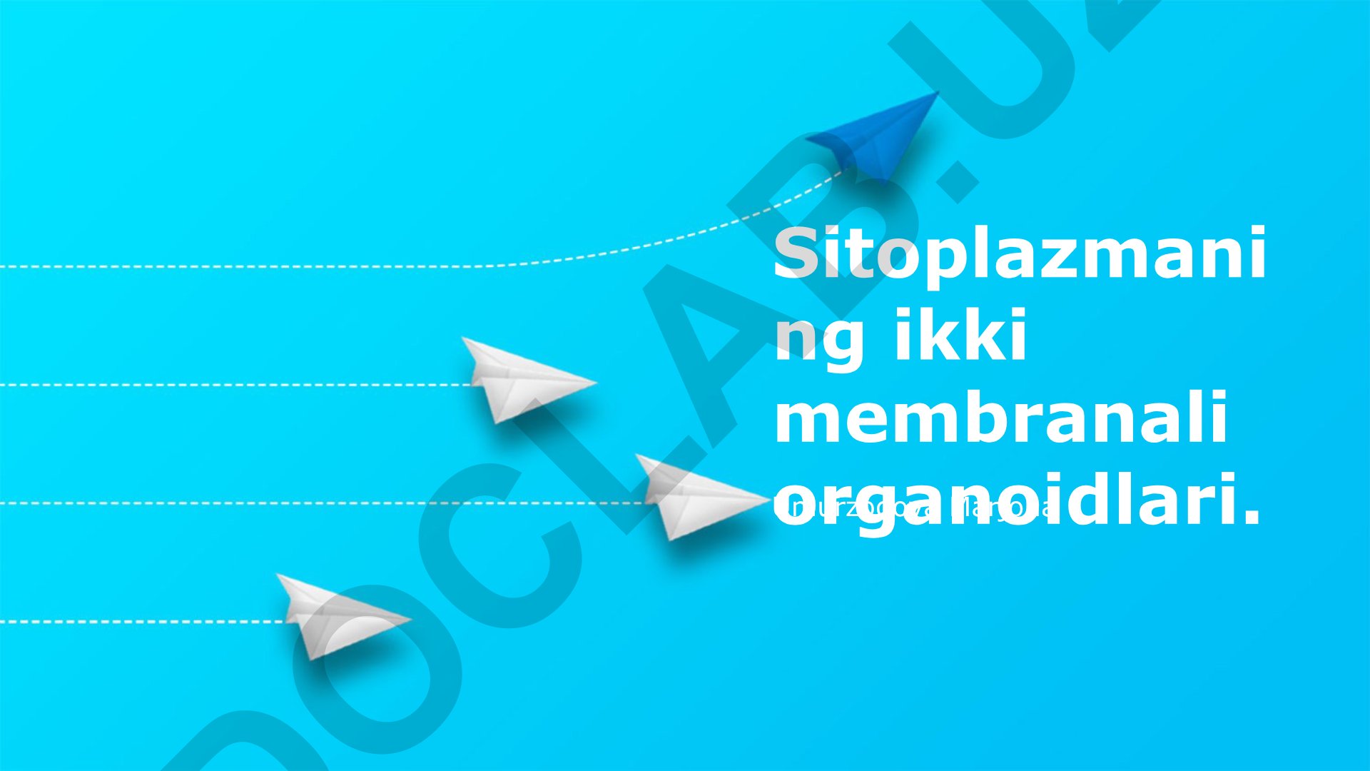 Sitoplazmaning ikki membranali organoidlari