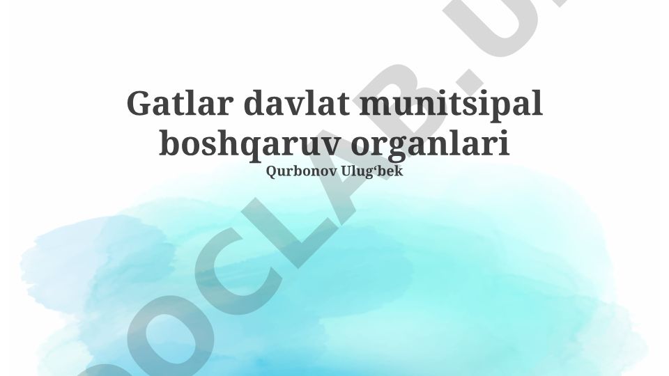 Davlat va munitsipal boshqaruv organlari