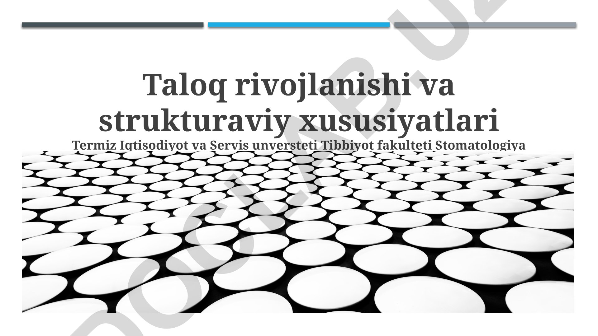 Taloqning rivojlanishi, tuzilishi va funktsiyalari