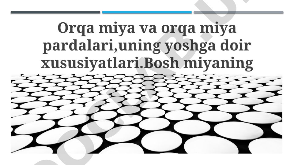 Orqa miya va miya pardalarining yoshga bog'liq o'zgarishlari