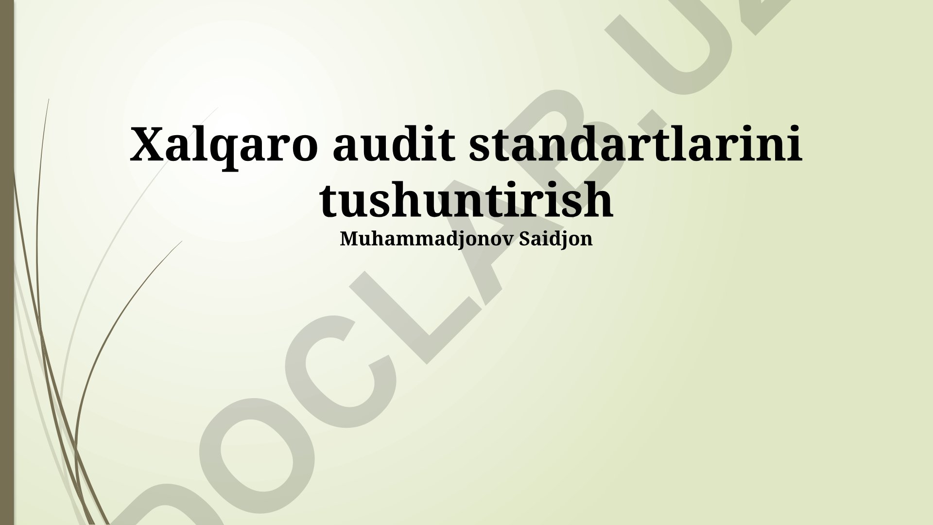 Xalqaro audit standartlari va ularning qo'llanilishi
