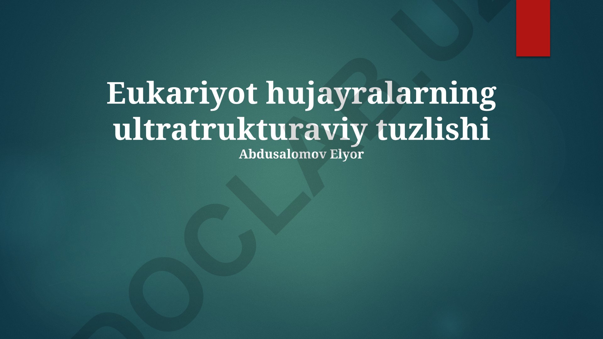 Eukariyot hujayralarning ultratrukturaviy tuzilishi va organellalar