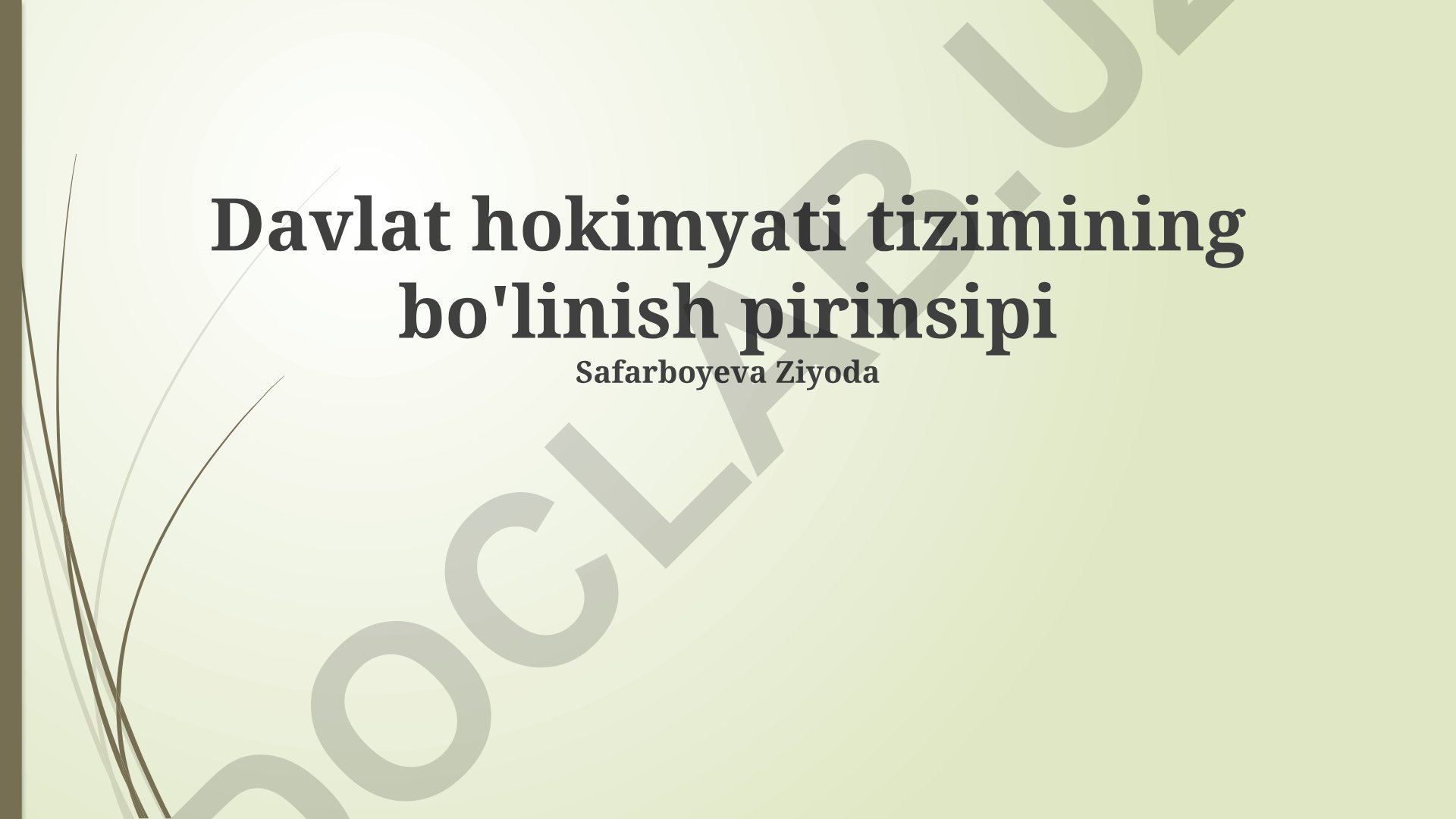 Davlat hokimyati tizimining bo'linish pirinsipi
