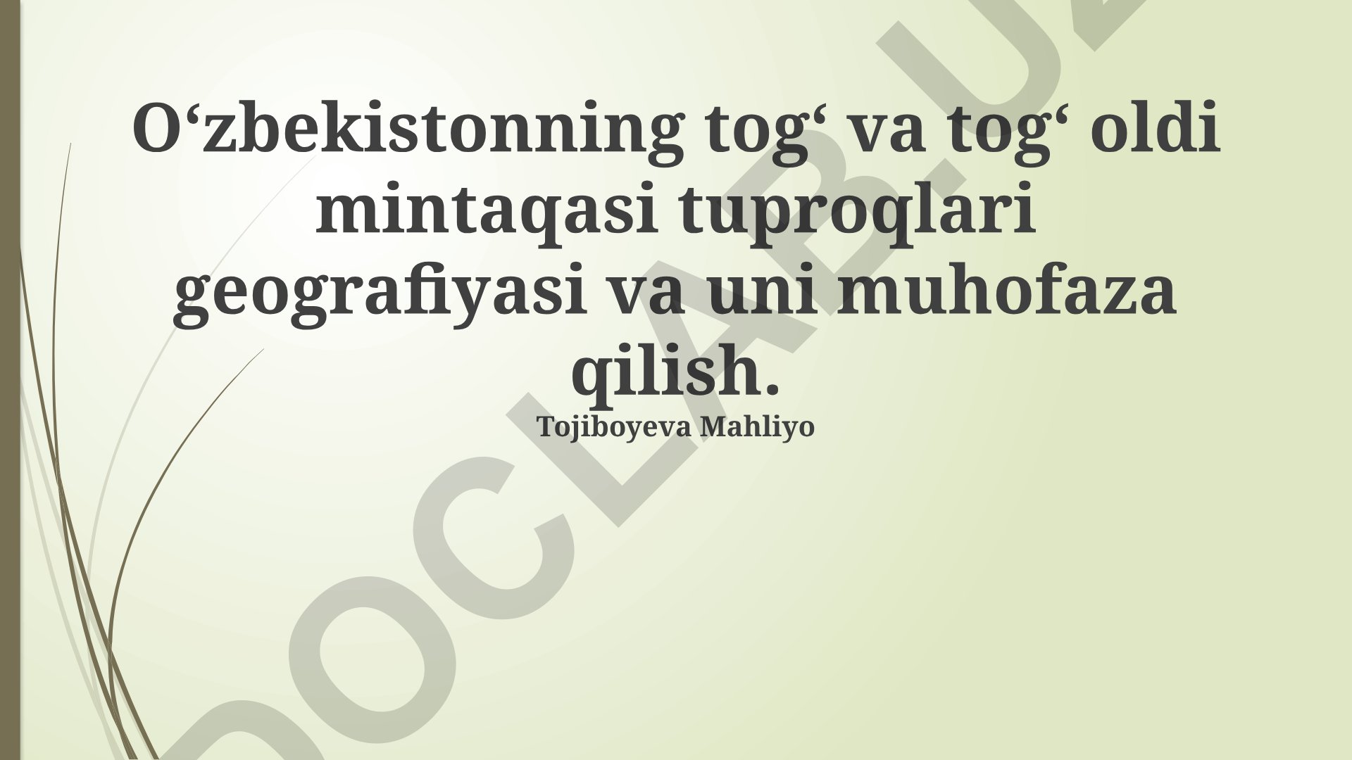 Oʻzbekistonning togʻ va togʻ oldi mintaqasi tuproqlari geografiyasi va uni muhofaza qilish